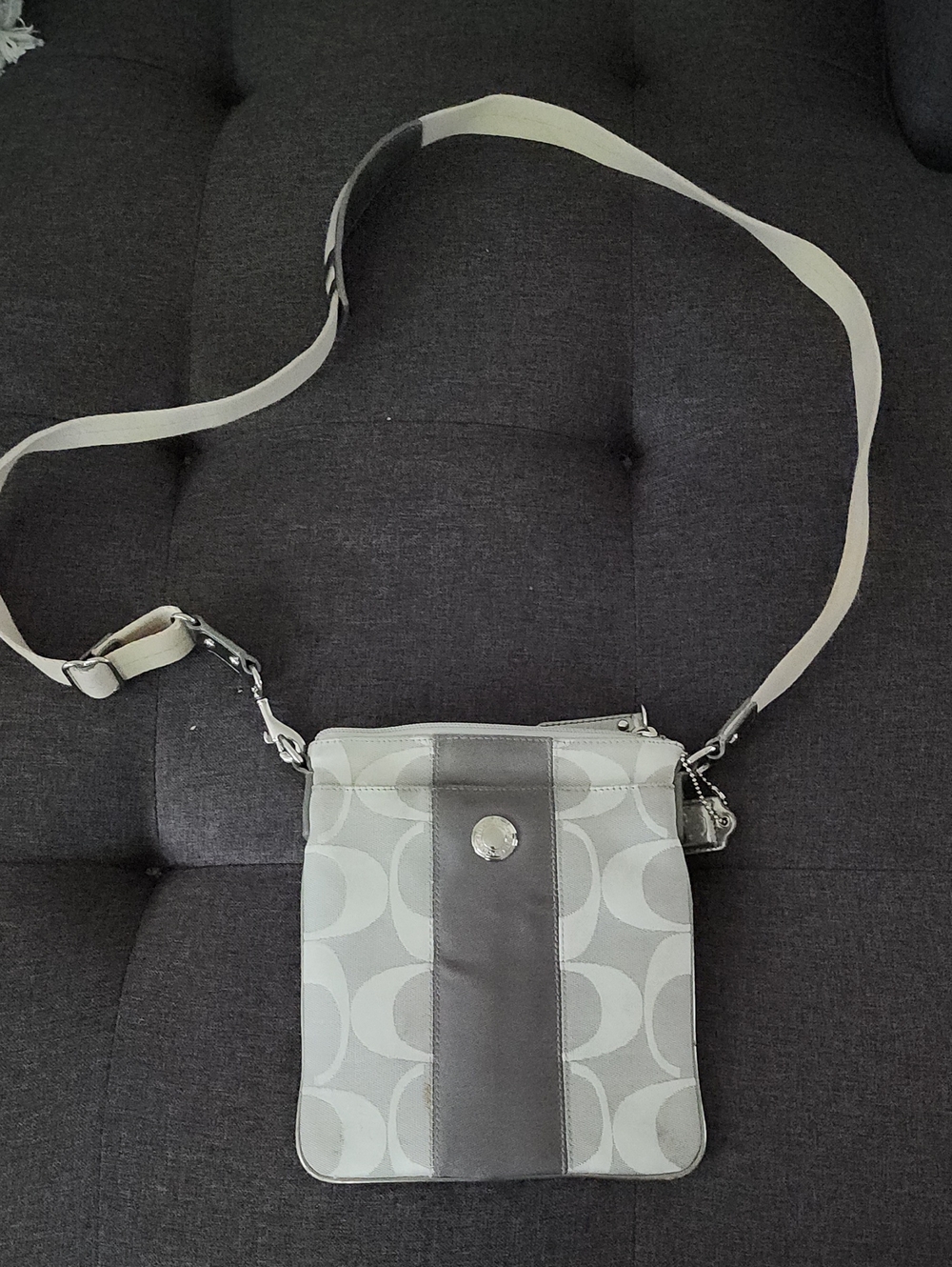 Coach Gray and Silver Crossbody Bag